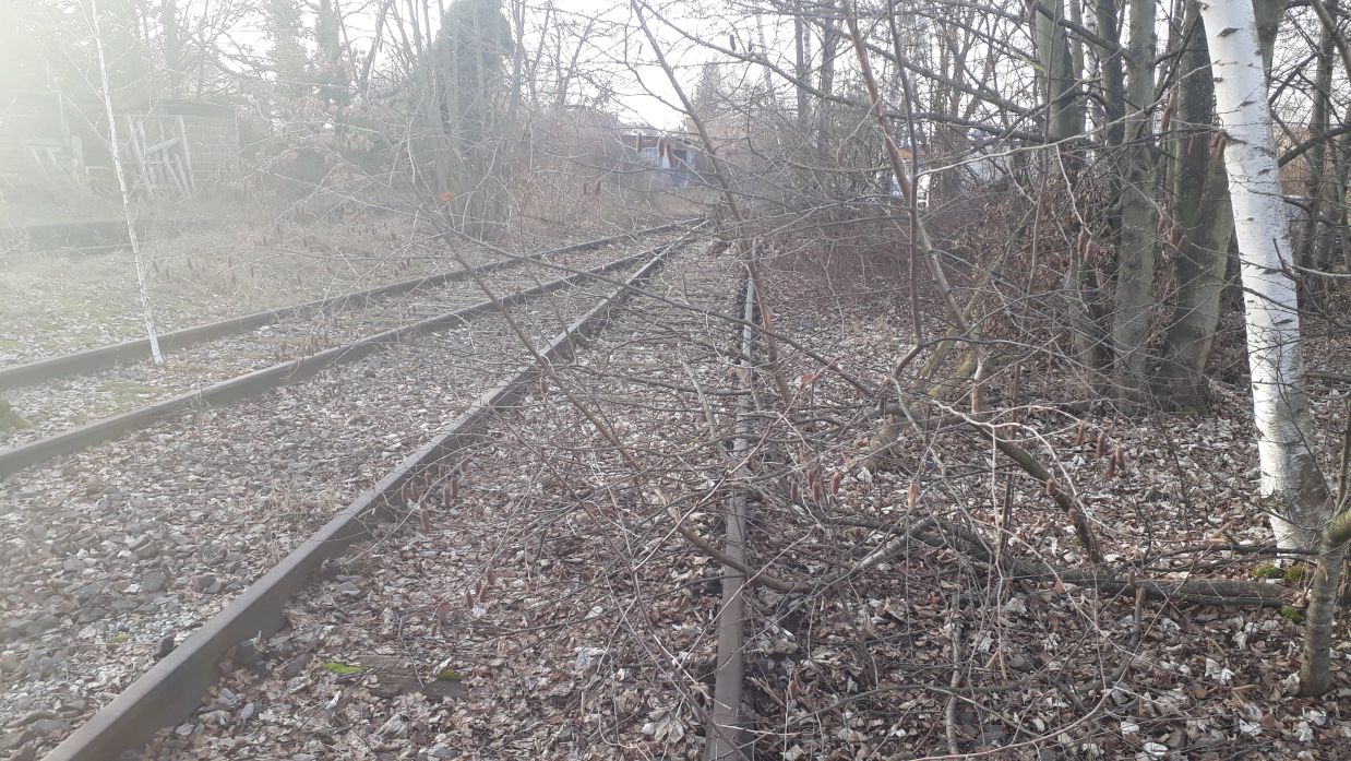 {short description of image}