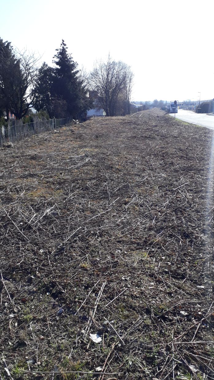 {short description of image}