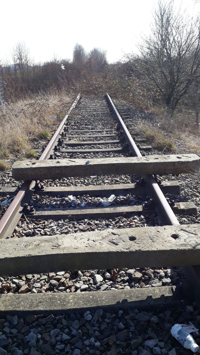 {short description of image}