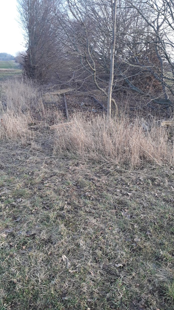 {short description of image}