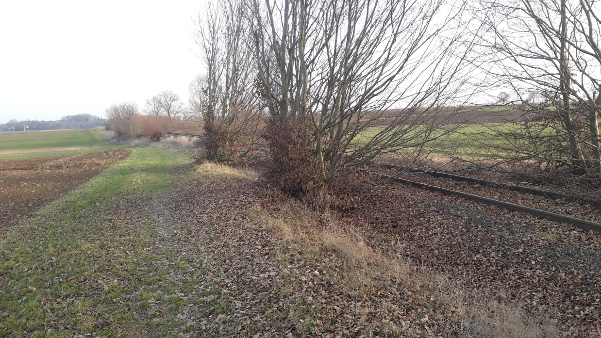 {short description of image}