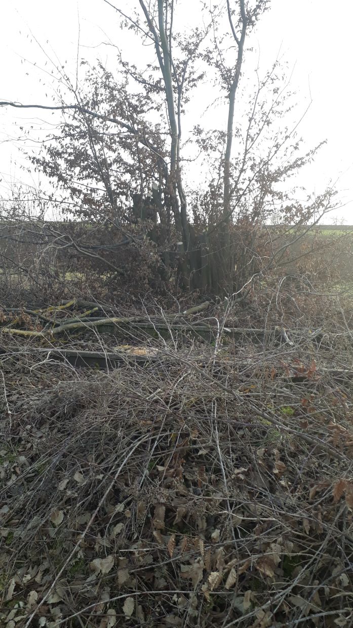 {short description of image}