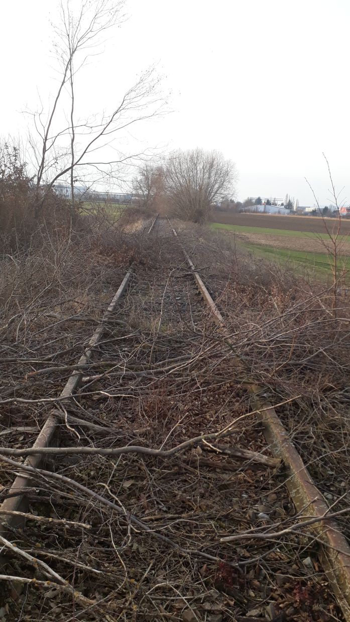 {short description of image}