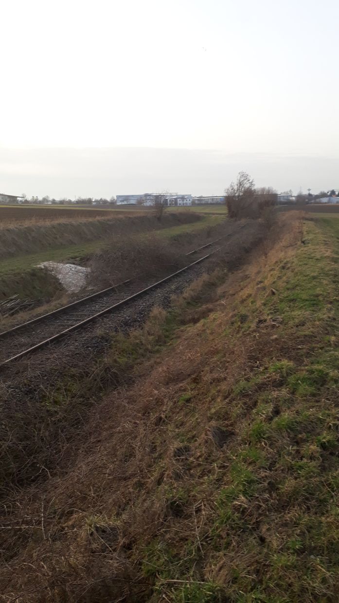 {short description of image}