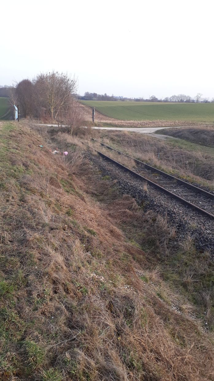 {short description of image}