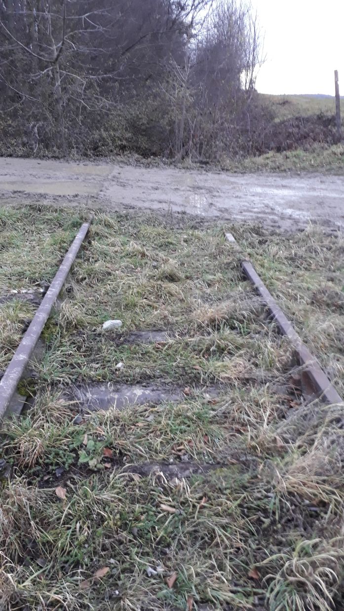 {short description of image}