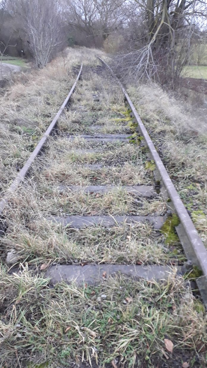 {short description of image}