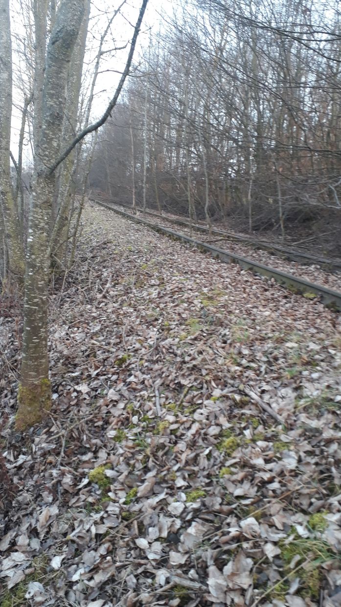 {short description of image}