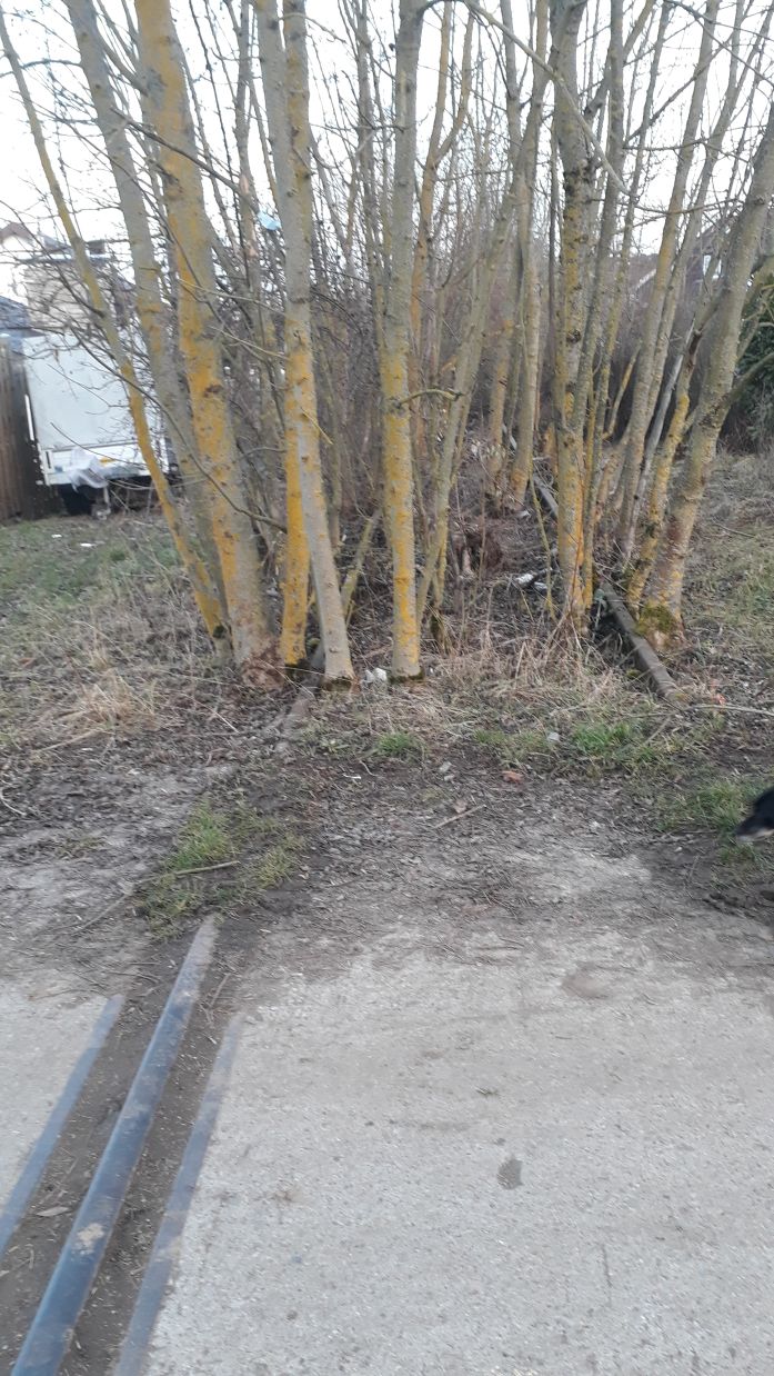 {short description of image}