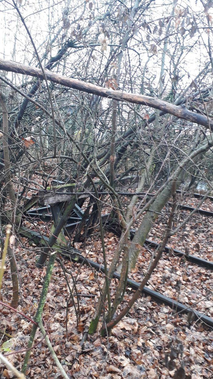 {short description of image}