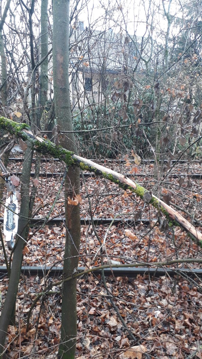 {short description of image}