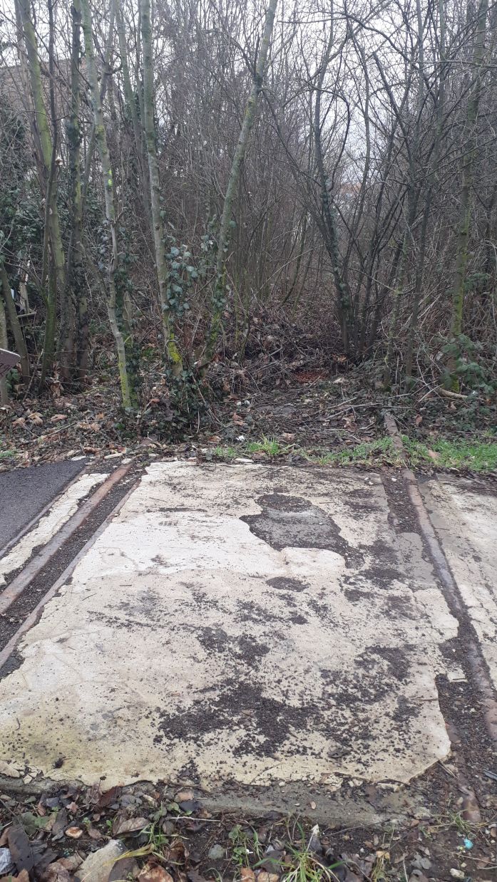 {short description of image}