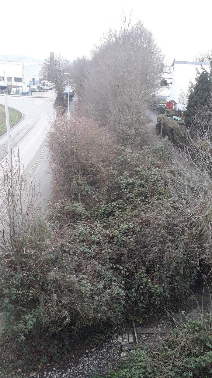 {short description of image}