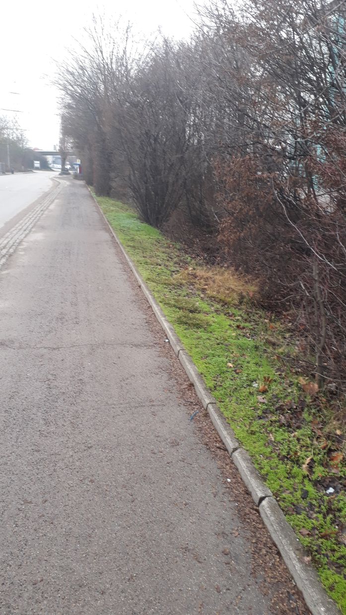 {short description of image}