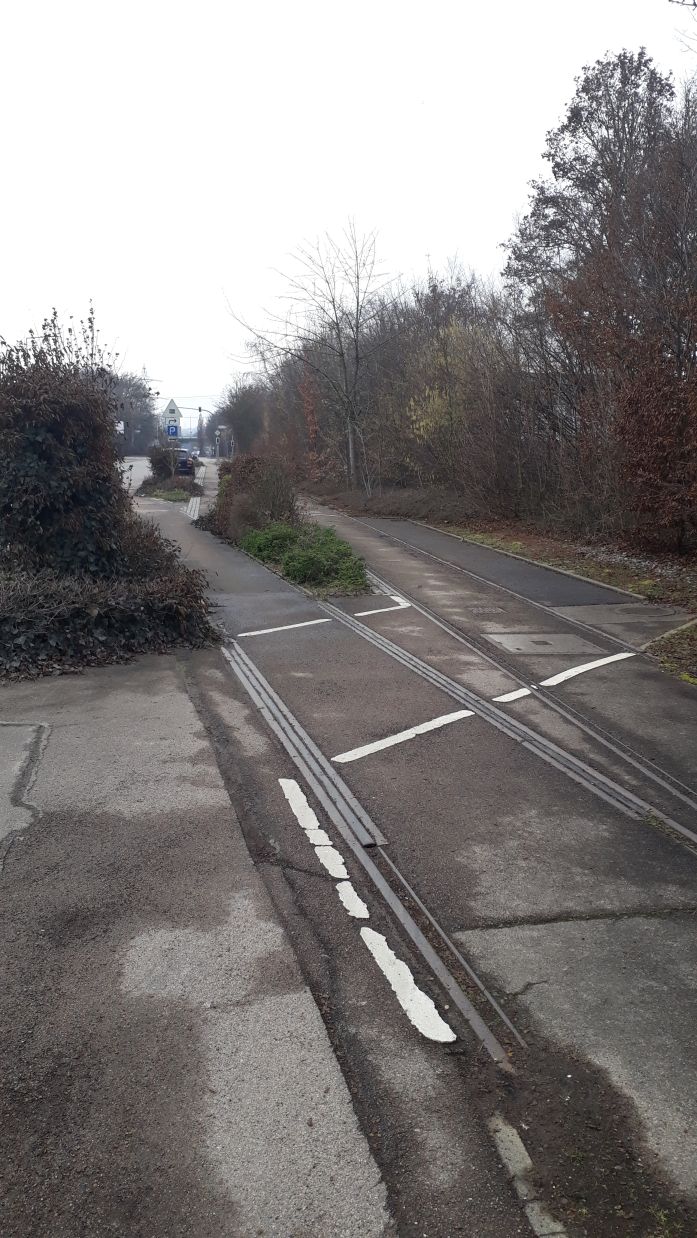 {short description of image}