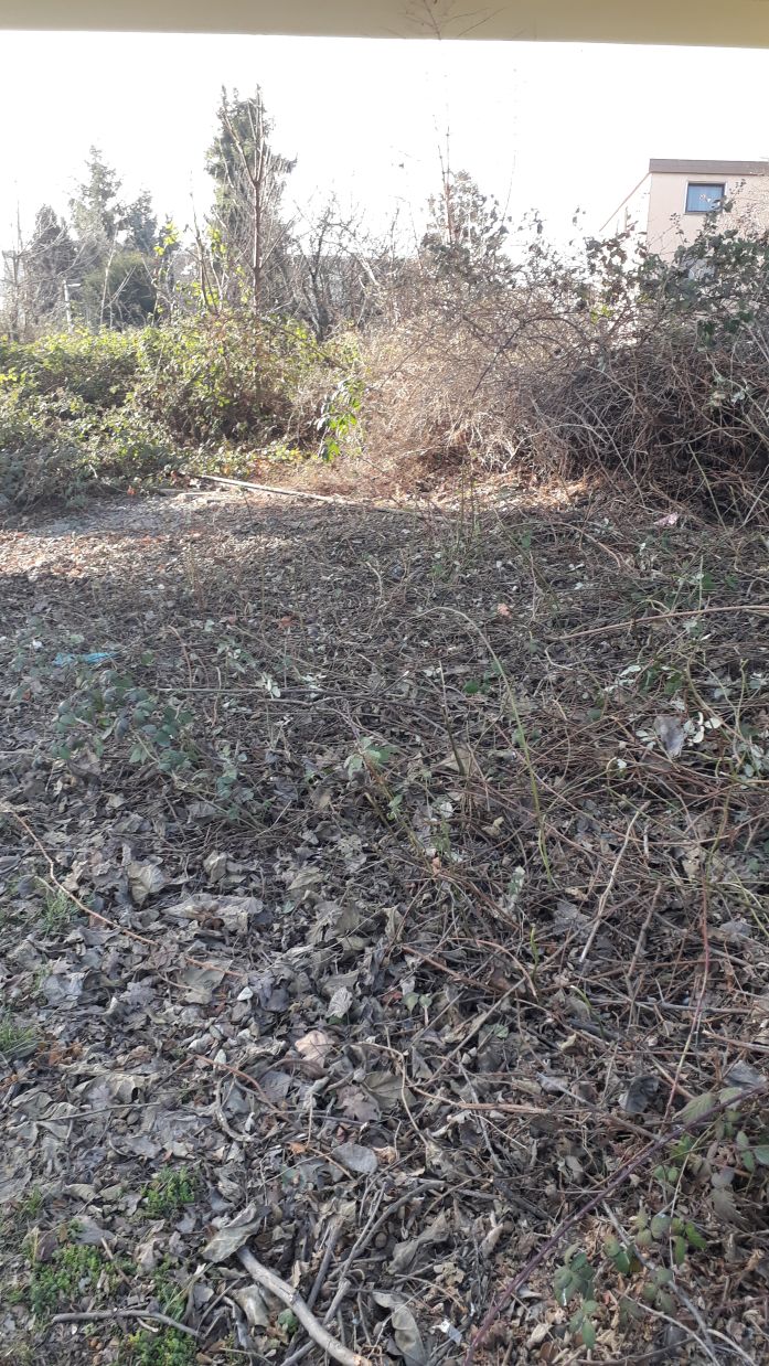 {short description of image}