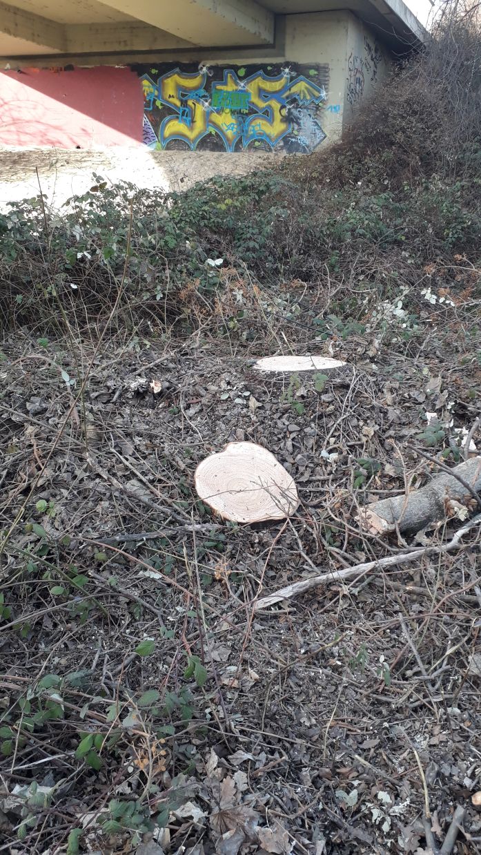 {short description of image}