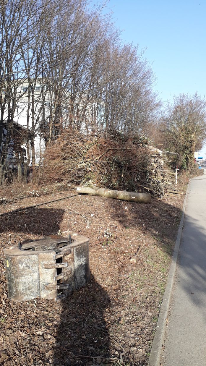 {short description of image}