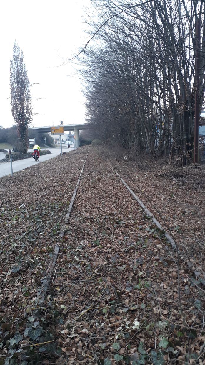 {short description of image}