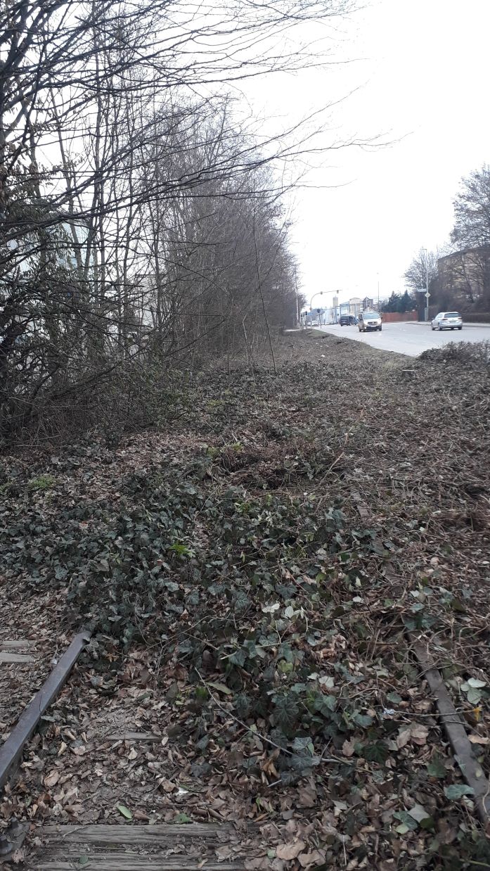 {short description of image}