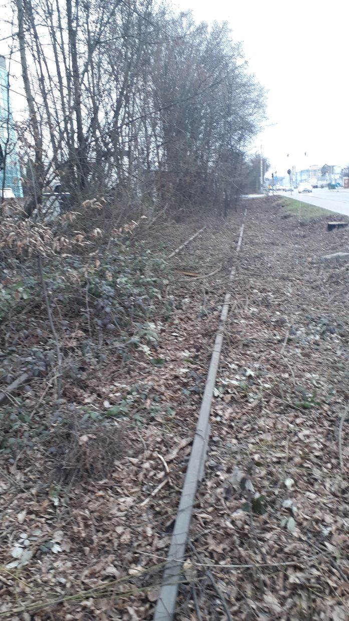 {short description of image}