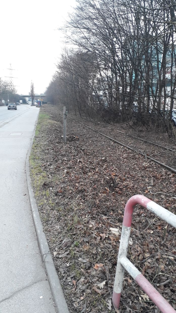 {short description of image}