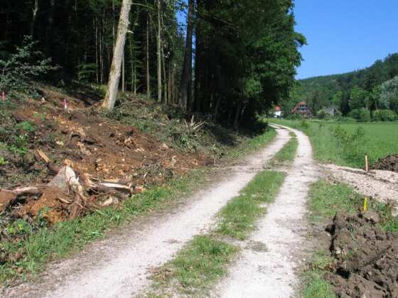 Kreuzung mit der Bahntrasse (Größe ca 38 kb)